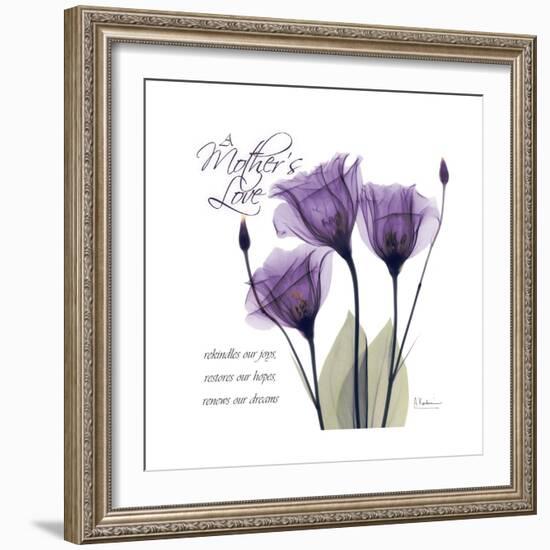 Mothers Love Gentian-Albert Koetsier-Framed Premium Giclee Print