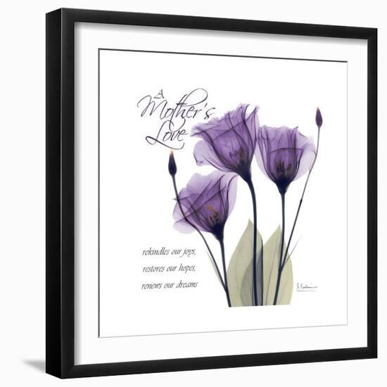 Mothers Love Gentian-Albert Koetsier-Framed Premium Giclee Print