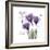 Mothers Love Gentian-Albert Koetsier-Framed Premium Giclee Print