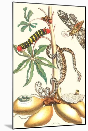 Moths and a Tree Boa-Maria Sibylla Merian-Mounted Art Print