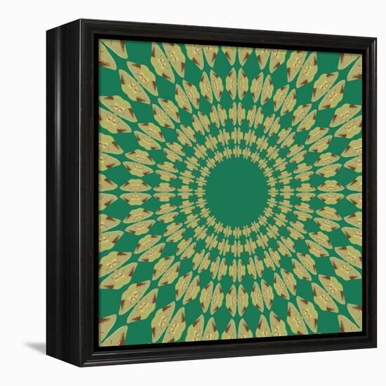 Moths Pachanga, Green Moth-Belen Mena-Framed Premier Image Canvas