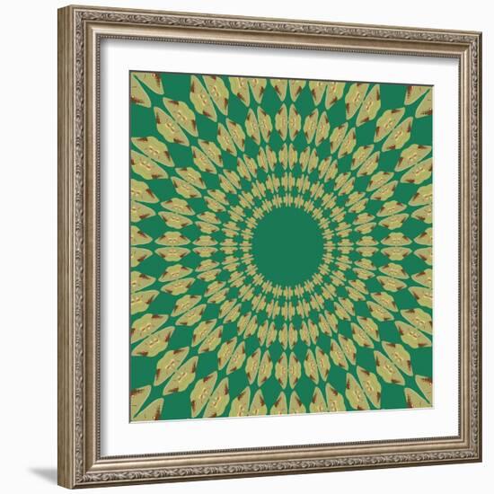 Moths Pachanga, Green Moth-Belen Mena-Framed Giclee Print