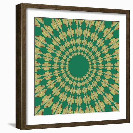 Moths Pachanga, Green Moth-Belen Mena-Framed Giclee Print