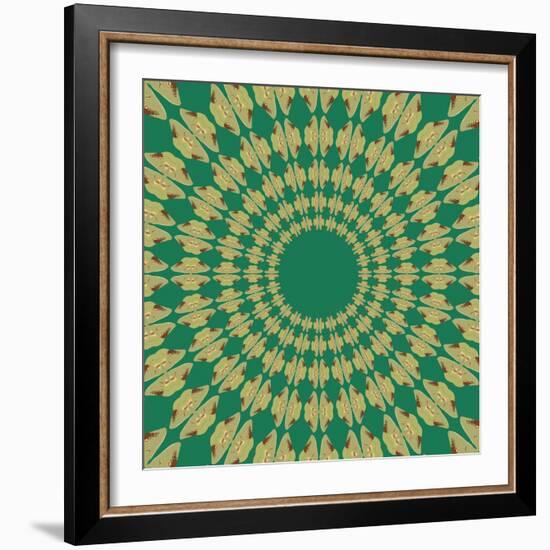 Moths Pachanga, Green Moth-Belen Mena-Framed Giclee Print