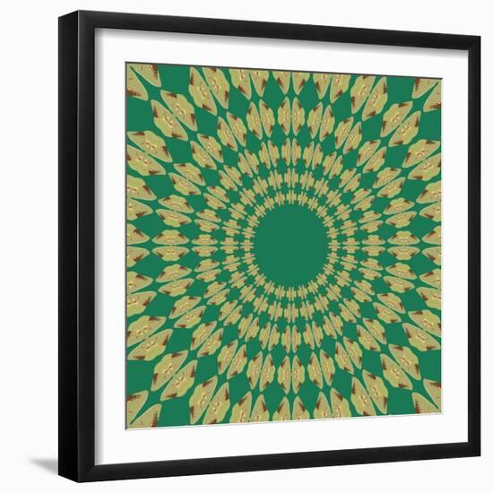 Moths Pachanga, Green Moth-Belen Mena-Framed Giclee Print