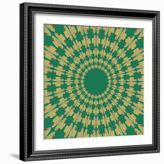 Moths Pachanga, Green Moth-Belen Mena-Framed Giclee Print