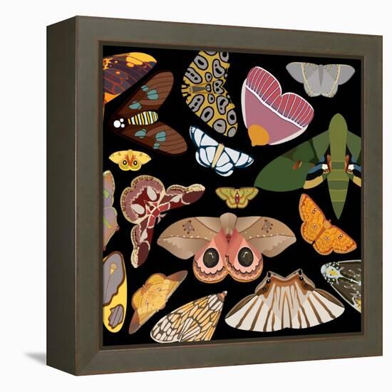 Moths Pachanga, Moths Mix-Belen Mena-Framed Premier Image Canvas