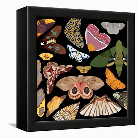 Moths Pachanga, Moths Mix-Belen Mena-Framed Premier Image Canvas