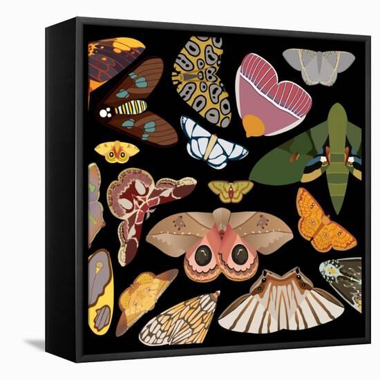 Moths Pachanga, Moths Mix-Belen Mena-Framed Premier Image Canvas