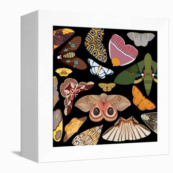 Moths Pachanga, Moths Mix-Belen Mena-Framed Premier Image Canvas