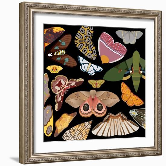 Moths Pachanga, Moths Mix-Belen Mena-Framed Giclee Print