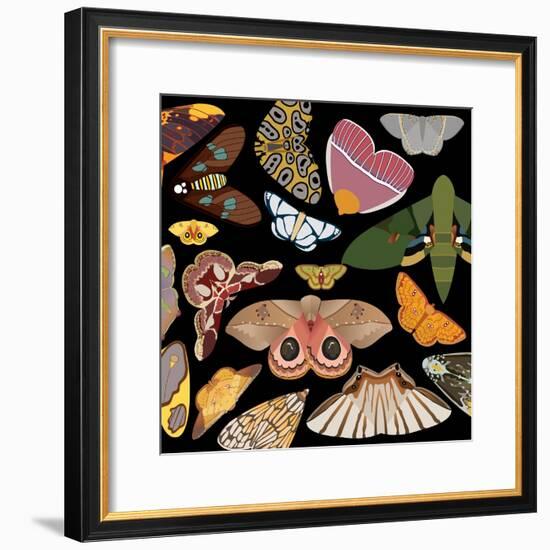 Moths Pachanga, Moths Mix-Belen Mena-Framed Giclee Print