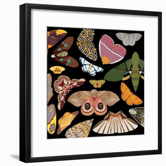 Moths Pachanga, Moths Mix-Belen Mena-Framed Giclee Print