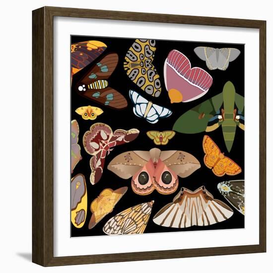 Moths Pachanga, Moths Mix-Belen Mena-Framed Giclee Print