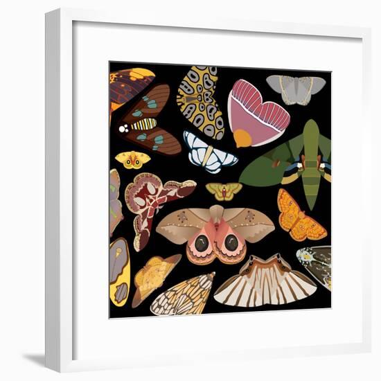 Moths Pachanga, Moths Mix-Belen Mena-Framed Giclee Print