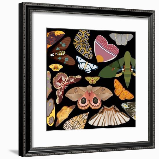 Moths Pachanga, Moths Mix-Belen Mena-Framed Giclee Print