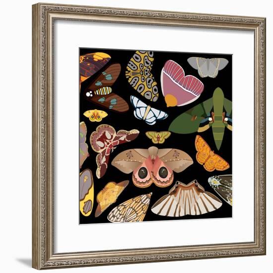 Moths Pachanga, Moths Mix-Belen Mena-Framed Giclee Print