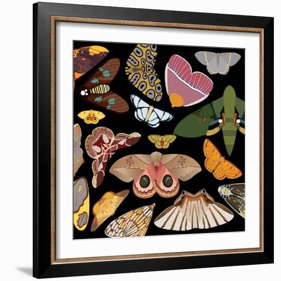 Moths Pachanga, Moths Mix-Belen Mena-Framed Giclee Print