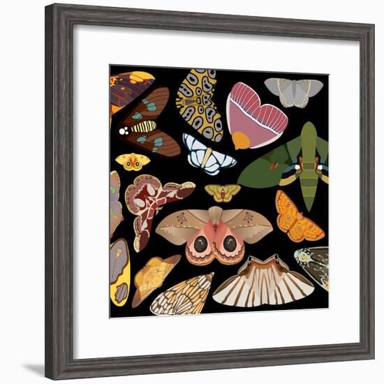 Moths Pachanga, Moths Mix-Belen Mena-Framed Giclee Print