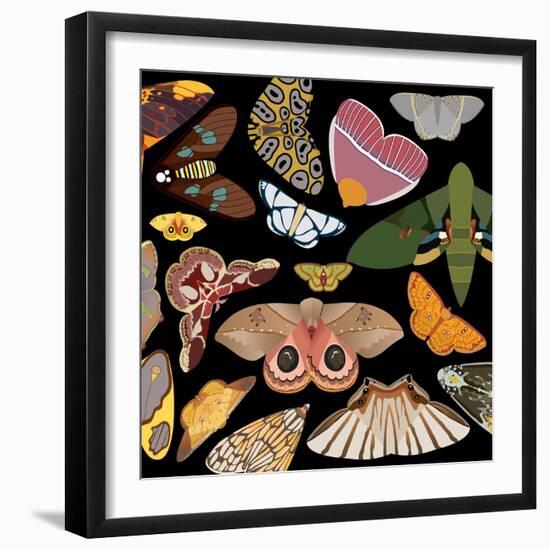 Moths Pachanga, Moths Mix-Belen Mena-Framed Giclee Print