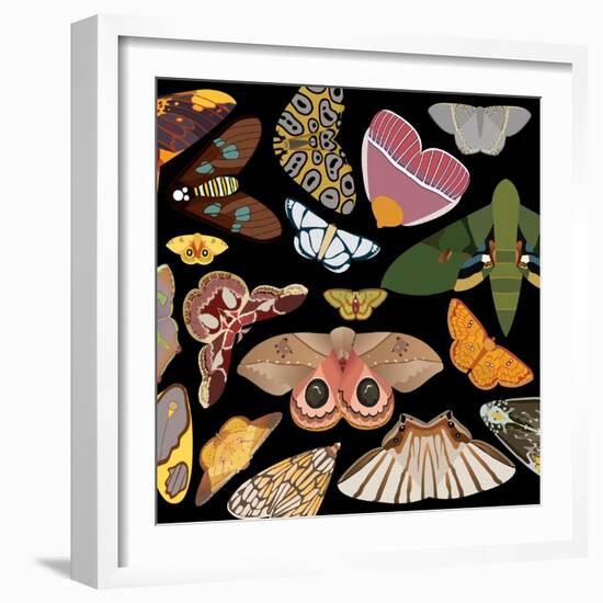 Moths Pachanga, Moths Mix-Belen Mena-Framed Giclee Print