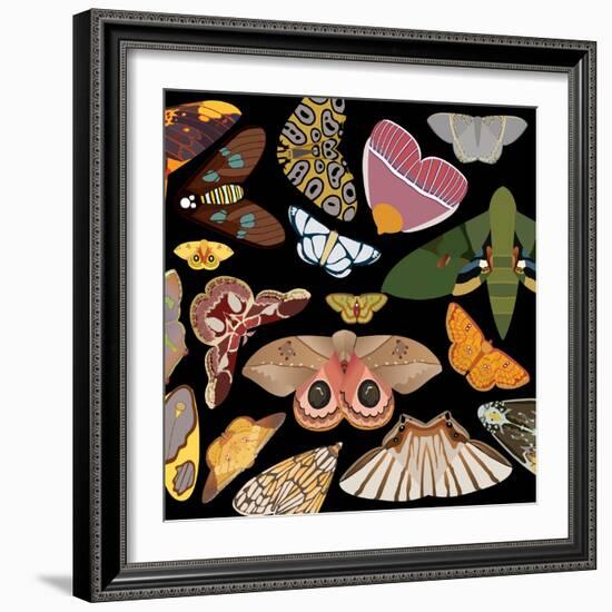 Moths Pachanga, Moths Mix-Belen Mena-Framed Giclee Print