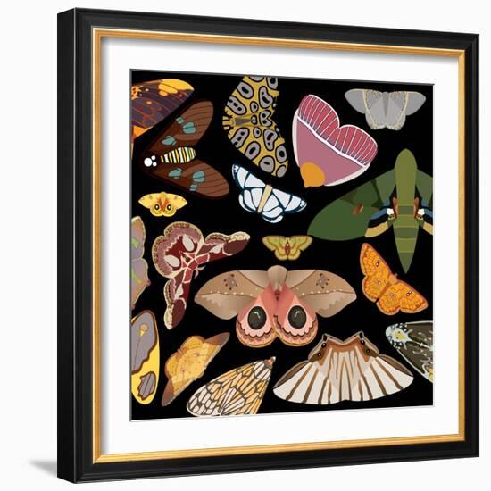 Moths Pachanga, Moths Mix-Belen Mena-Framed Giclee Print