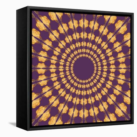 Moths Pachanga, Yellow Moth-Belen Mena-Framed Premier Image Canvas