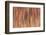 Motion effect on autumn vegetation, Yellowstone National Park.-Adam Jones-Framed Photographic Print