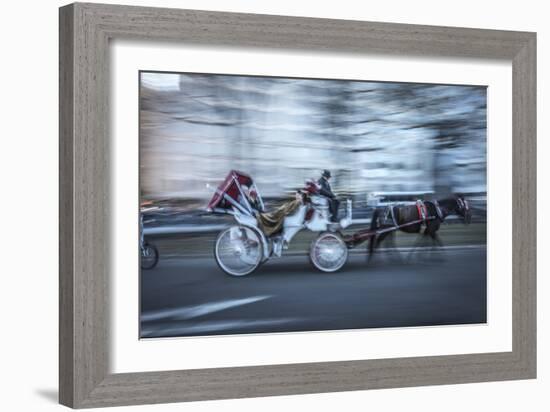 Motion Horse 3-Moises Levy-Framed Photographic Print