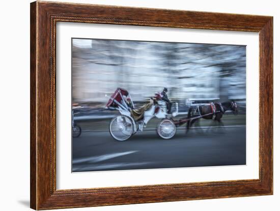 Motion Horse 3-Moises Levy-Framed Photographic Print