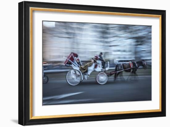 Motion Horse 3-Moises Levy-Framed Photographic Print