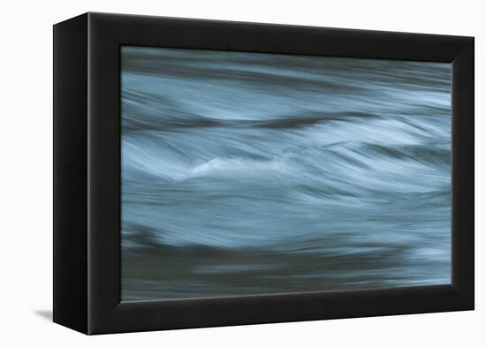 Motion-Anthony Paladino-Framed Premier Image Canvas