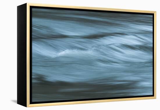 Motion-Anthony Paladino-Framed Premier Image Canvas