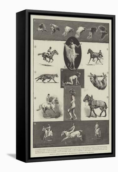 Motions of Animals Illustrated by the Instantaneous Photographs of Mr Muybridge-Thomas Walter Wilson-Framed Premier Image Canvas