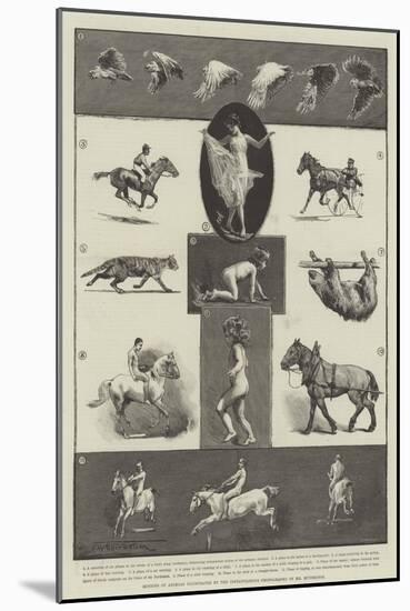 Motions of Animals Illustrated by the Instantaneous Photographs of Mr Muybridge-Thomas Walter Wilson-Mounted Giclee Print