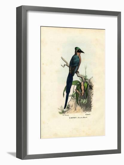 Motmot, 1863-79-Raimundo Petraroja-Framed Giclee Print