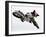 Motocross I-Karen Williams-Framed Photographic Print