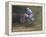 Motocross Racer Airborne-Steve Satushek-Framed Premier Image Canvas