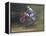 Motocross Racer Airborne-Steve Satushek-Framed Premier Image Canvas