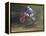 Motocross Racer Airborne-Steve Satushek-Framed Premier Image Canvas