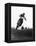 Motocross Scrambling-null-Framed Premier Image Canvas