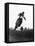 Motocross Scrambling-null-Framed Premier Image Canvas