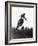 Motocross Scrambling-null-Framed Photographic Print