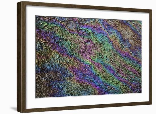 Motor Oil Creating Rainbow Pattern on Pavement, Havana, Cuba-Adam Jones-Framed Photographic Print