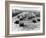 Motor Race, Brooklands, Surrey, 1920S-null-Framed Photographic Print