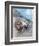 Motor Racing, 1930-null-Framed Giclee Print