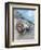 Motor Racing, 1930-null-Framed Giclee Print