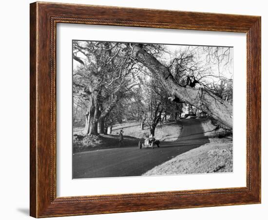 Motor Racing at Oulton Park, 1953-Staff-Framed Photographic Print