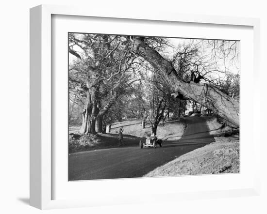 Motor Racing at Oulton Park, 1953-Staff-Framed Photographic Print